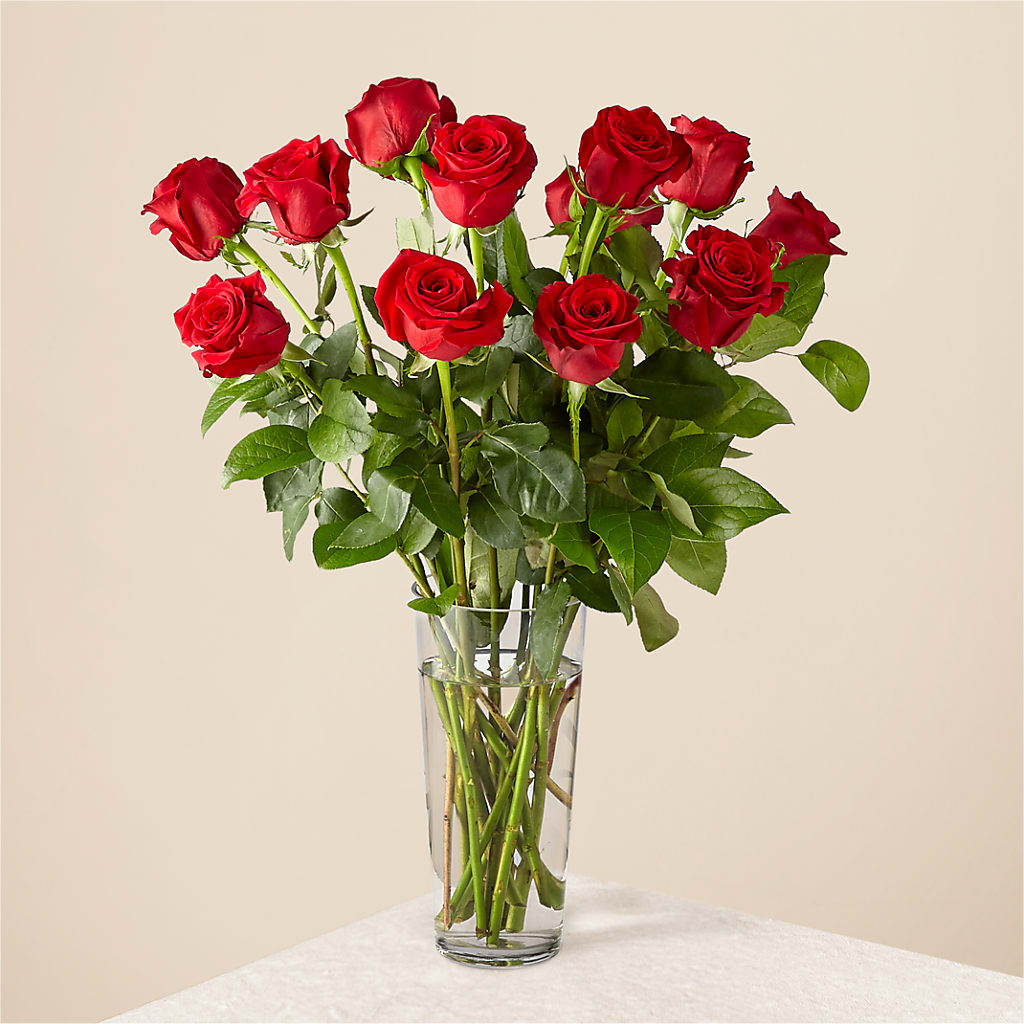 Long Stem Red Rose Bouquet – CARLSON & CO, Springfield GA