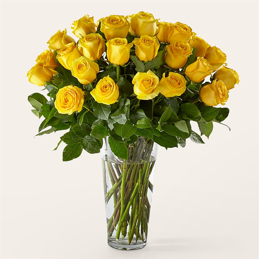 Long Stem Yellow Rose Bouquet – CARLSON & CO, Springfield GA