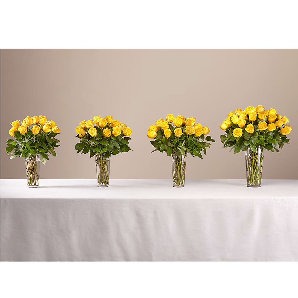 Long Stem Yellow Rose Bouquet – CARLSON & CO, Springfield GA