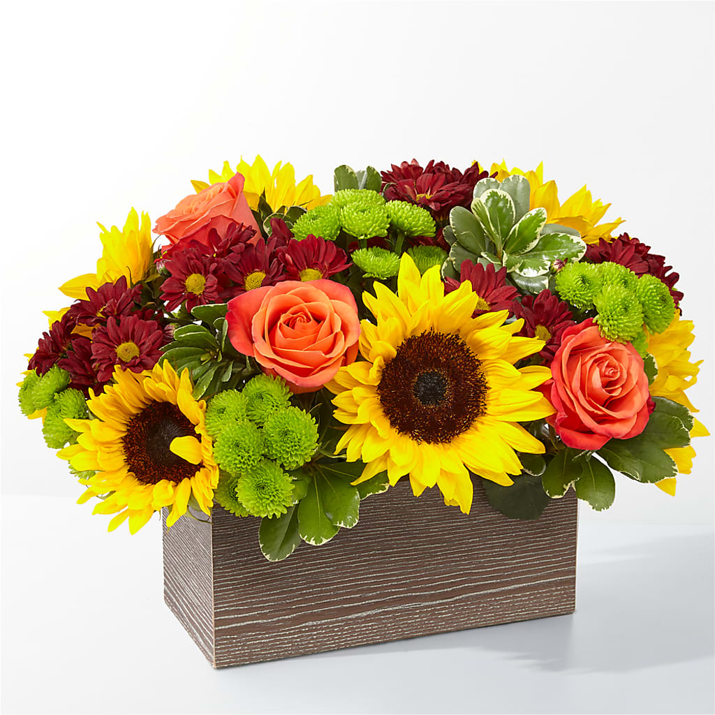 Happy Harvest Garden – CARLSON & CO, Springfield GA
