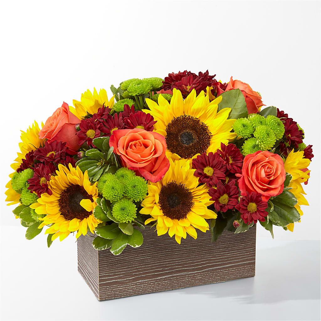Happy Harvest Garden – CARLSON & CO, Springfield GA