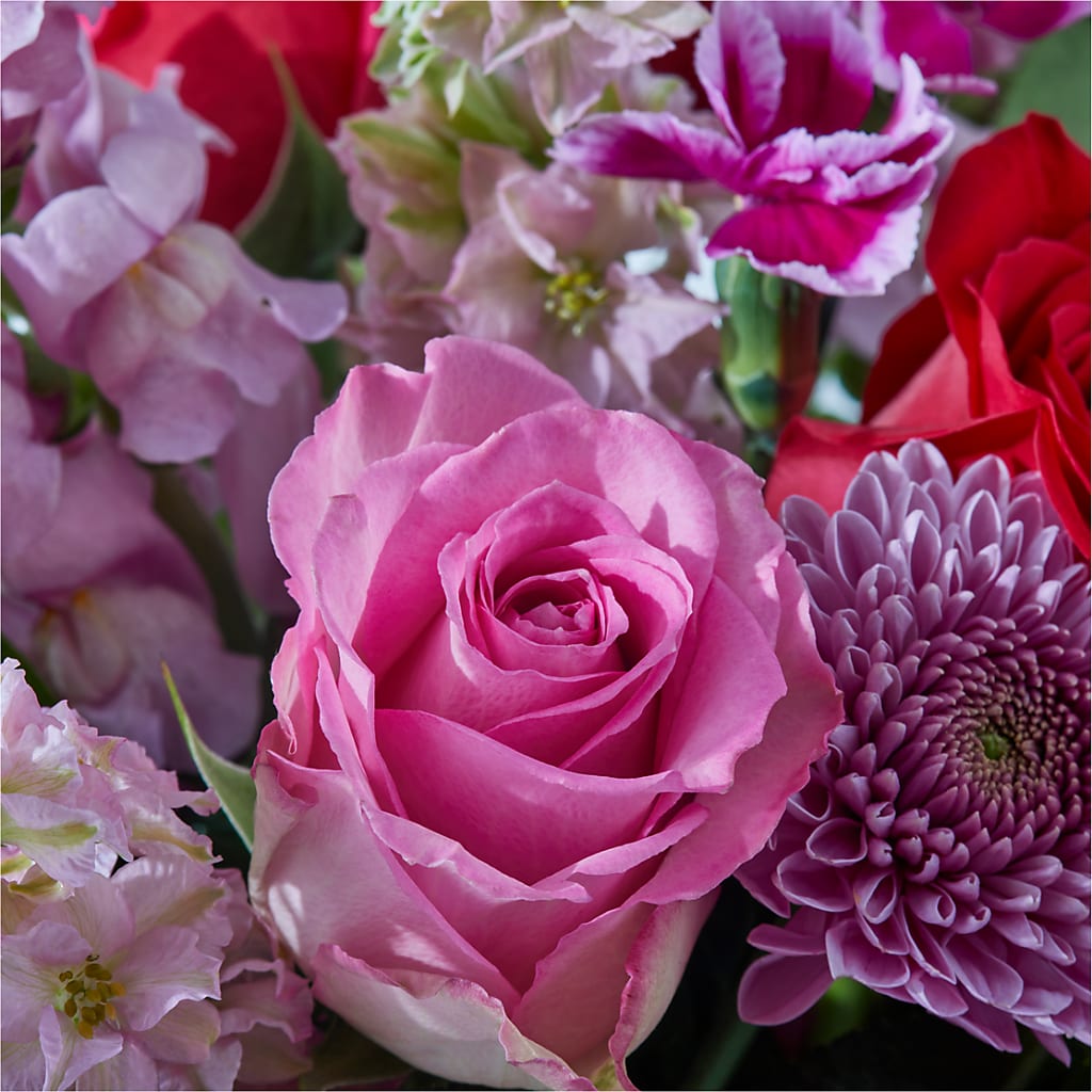 Better Together - A Luxury Florist Original – CARLSON & CO, Springfield GA