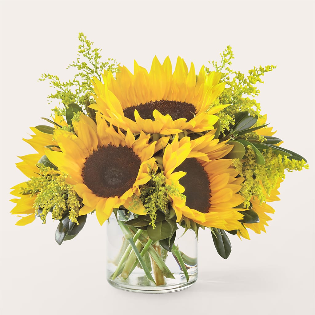 Beaming Sunflower Bouquet – CARLSON & CO, Springfield GA