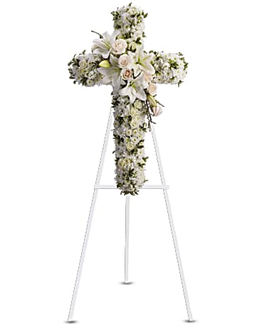 Divine Light – CARLSON & CO, Springfield GA