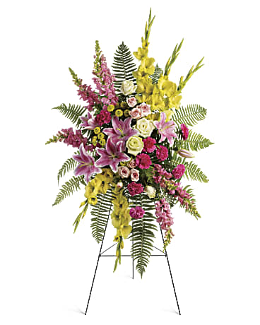Rays of Light Spray – CARLSON & CO, Springfield GA