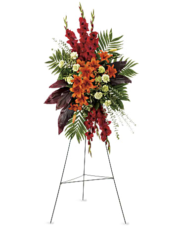 A New Sunrise Spray – CARLSON & CO, Springfield GA