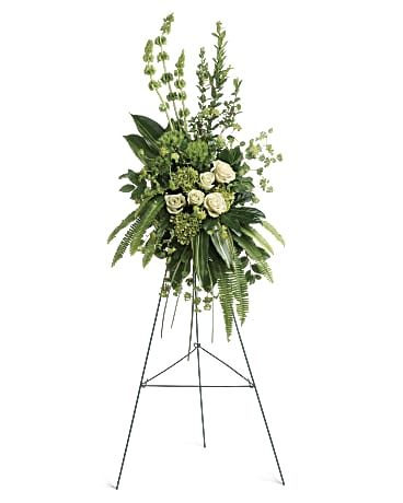 Teleflora's Tranquil Peace Collection – CARLSON & CO, Springfield GA
