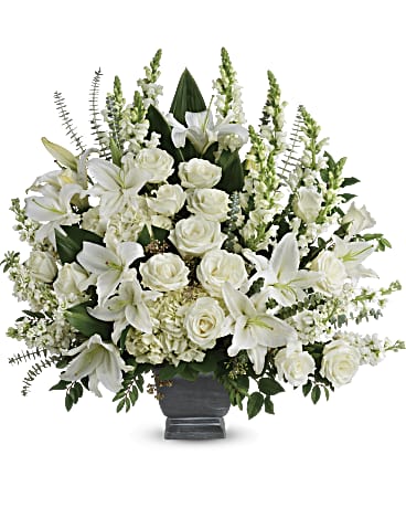 Grandest Glory Collection – CARLSON & CO, Springfield GA