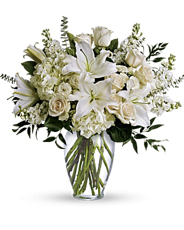 Grandest Glory Collection – CARLSON & CO, Springfield GA