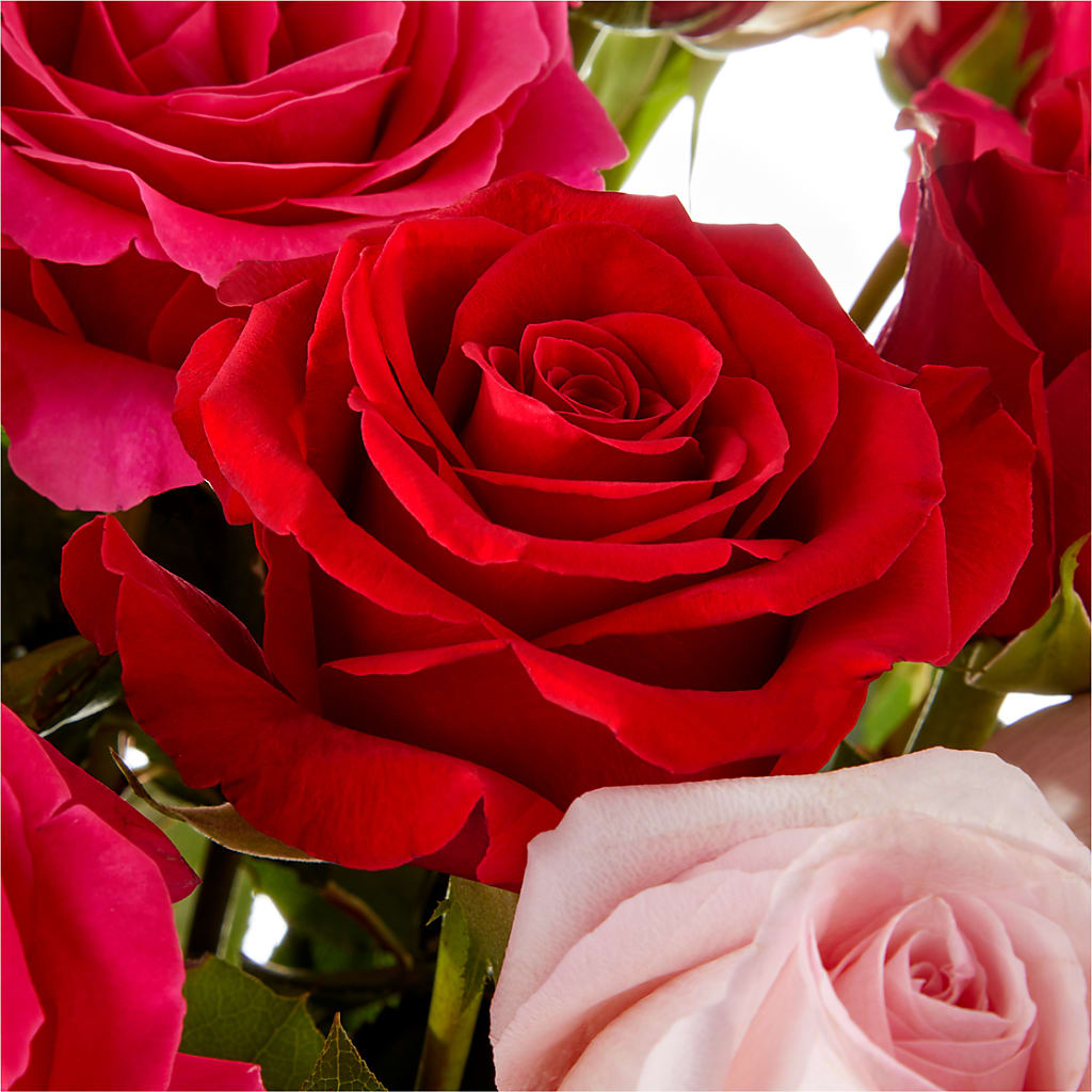 Love Notes Rose Bouquet – CARLSON & CO, Springfield GA