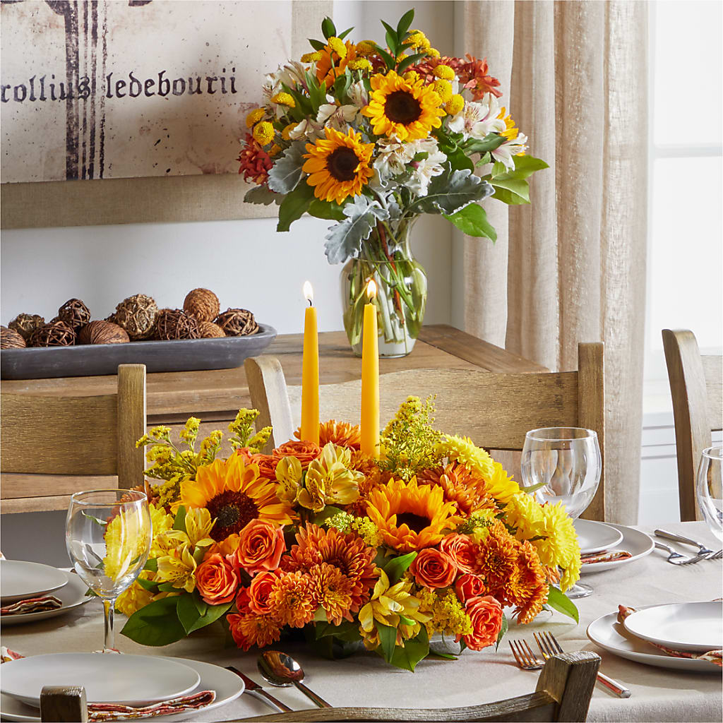 Golden Gathering Bundle – CARLSON & CO, Springfield GA