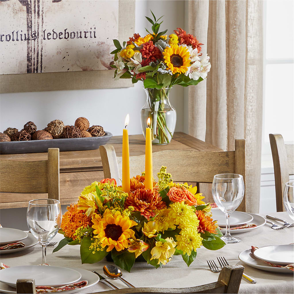 Golden Gathering Bundle – CARLSON & CO, Springfield GA