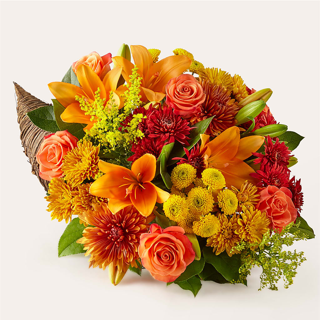 Feast of Color Cornucopia – CARLSON & CO, Springfield GA