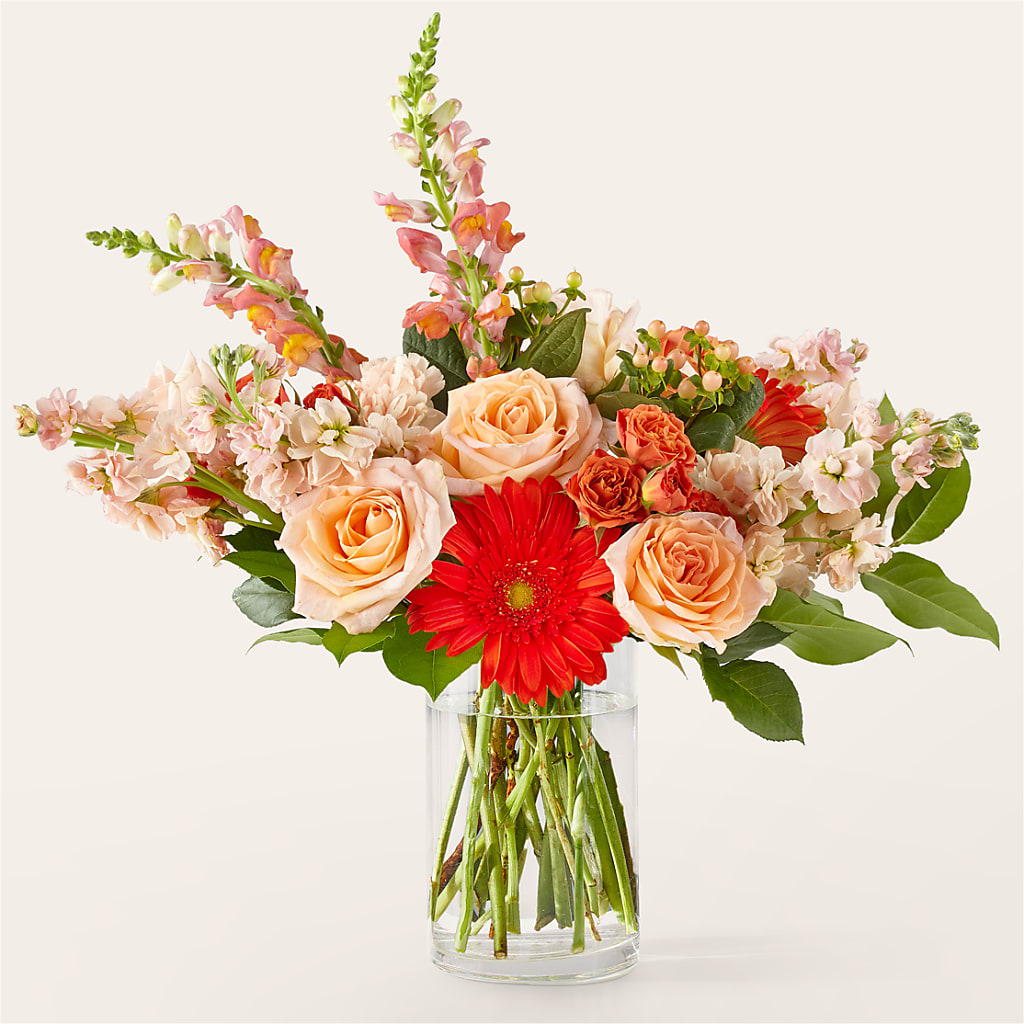 Paloma Please Bouquet – CARLSON & CO, Springfield GA