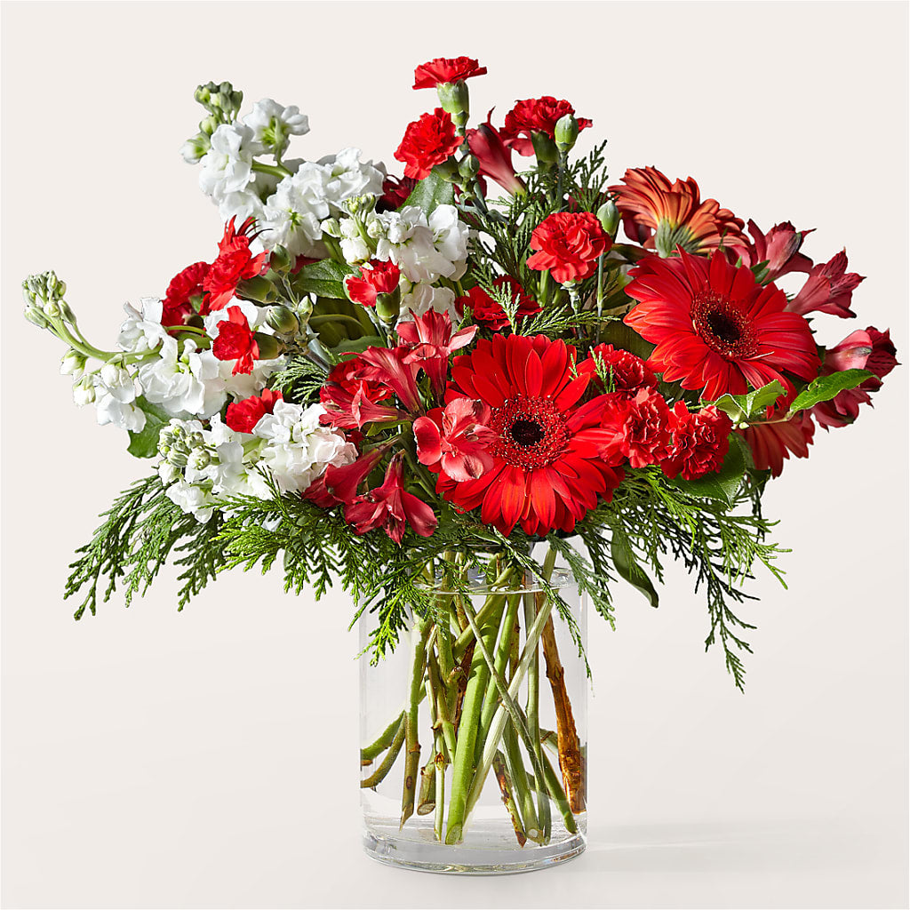 Holidaisy Bouquet – CARLSON & CO, Springfield GA