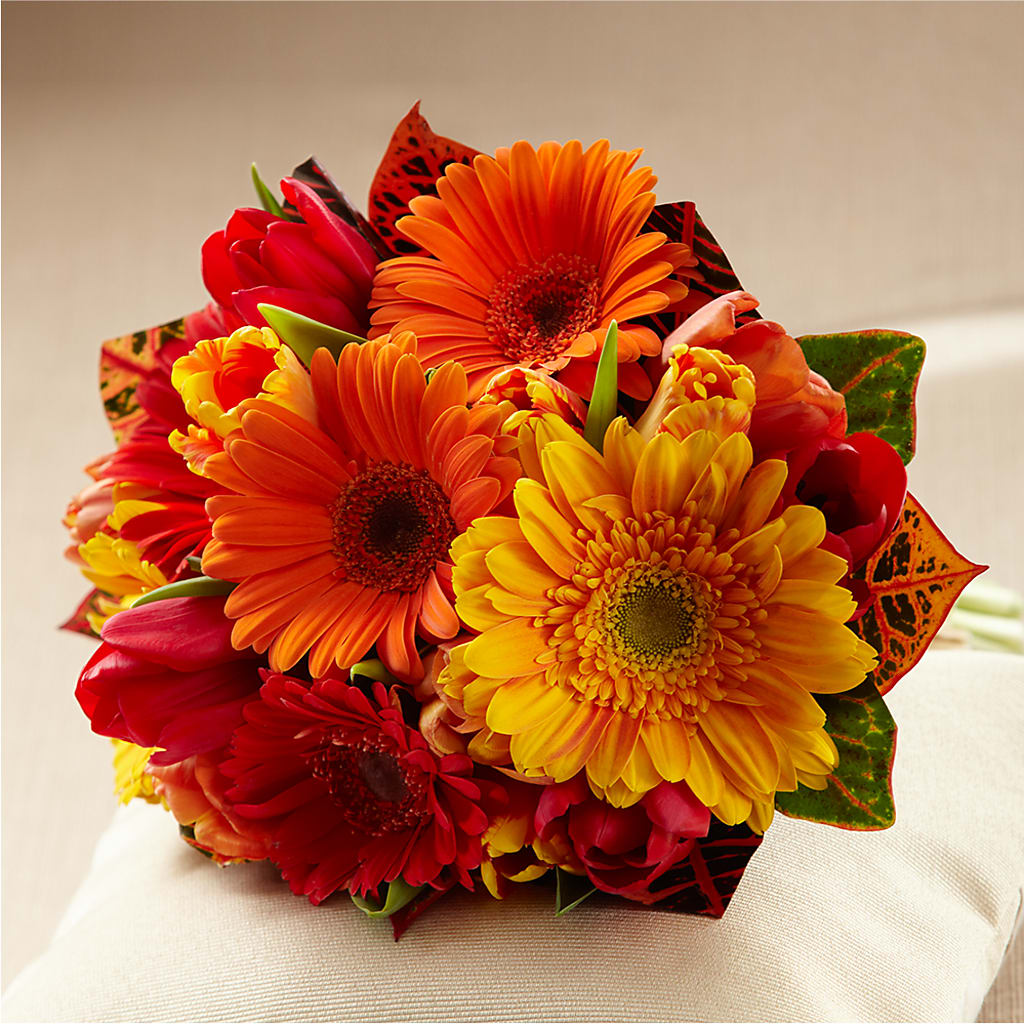 Sunglow Bouquet – CARLSON & CO, Springfield GA
