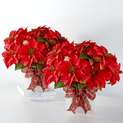 Happiest Holidays Poinsettia Bundle – CARLSON & CO, Springfield GA