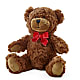 Adorable Plush Bear – CARLSON & CO, Springfield GA