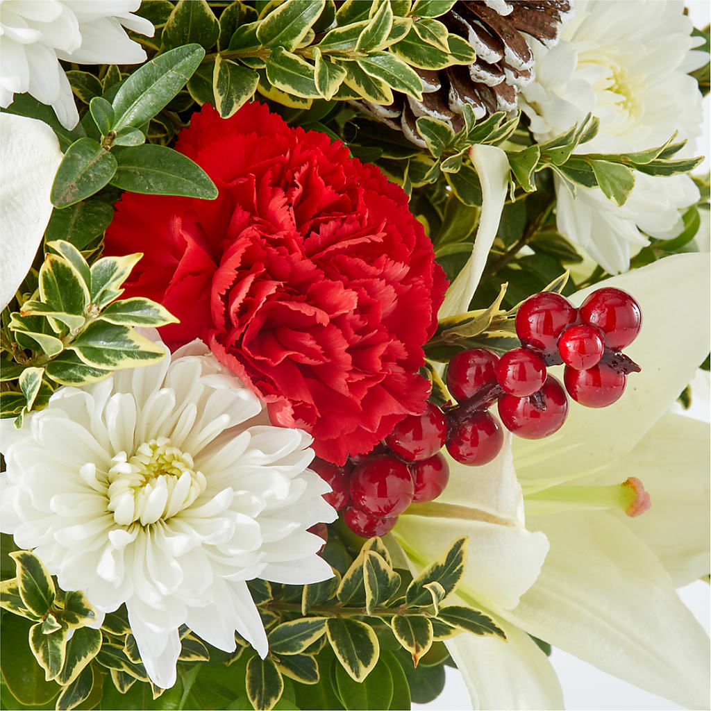 Festive Moments Tree – CARLSON & CO, Springfield GA