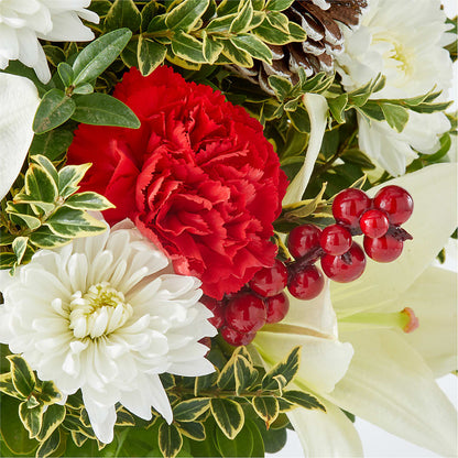 Festive Moments Tree – CARLSON & CO, Springfield GA