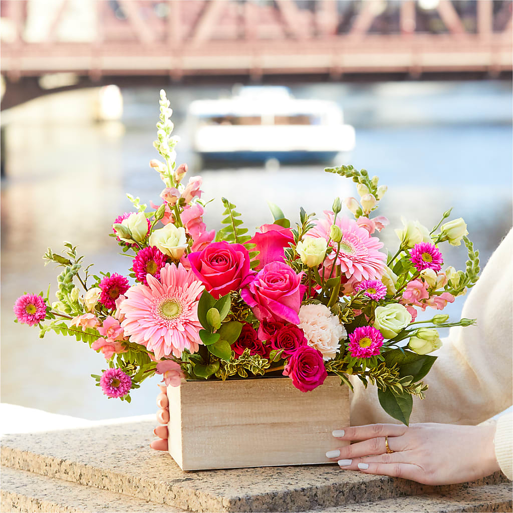 Too Cute Bouquet – CARLSON & CO, Springfield GA