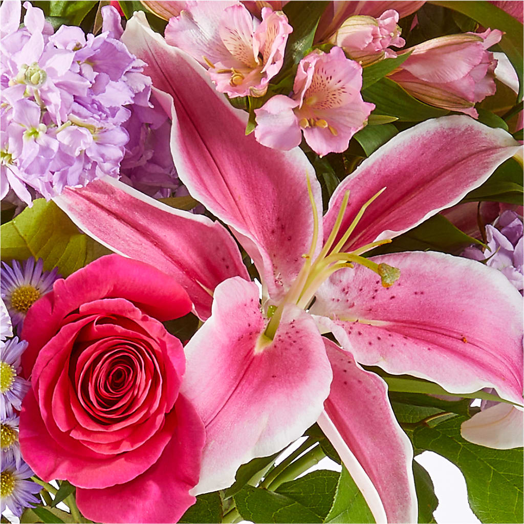 Written in the Stars Bouquet – CARLSON & CO, Springfield GA