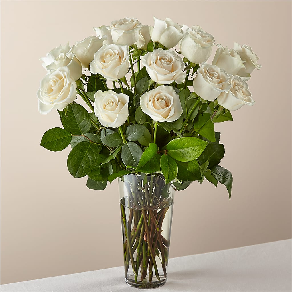 Long Stem White Rose Bouquet – CARLSON & CO, Springfield GA