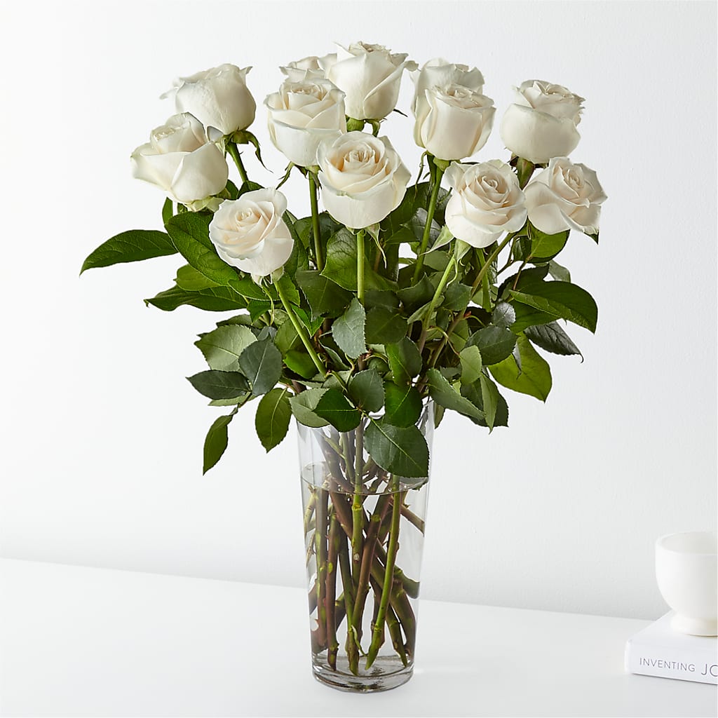Long Stem White Rose Bouquet – CARLSON & CO, Springfield GA