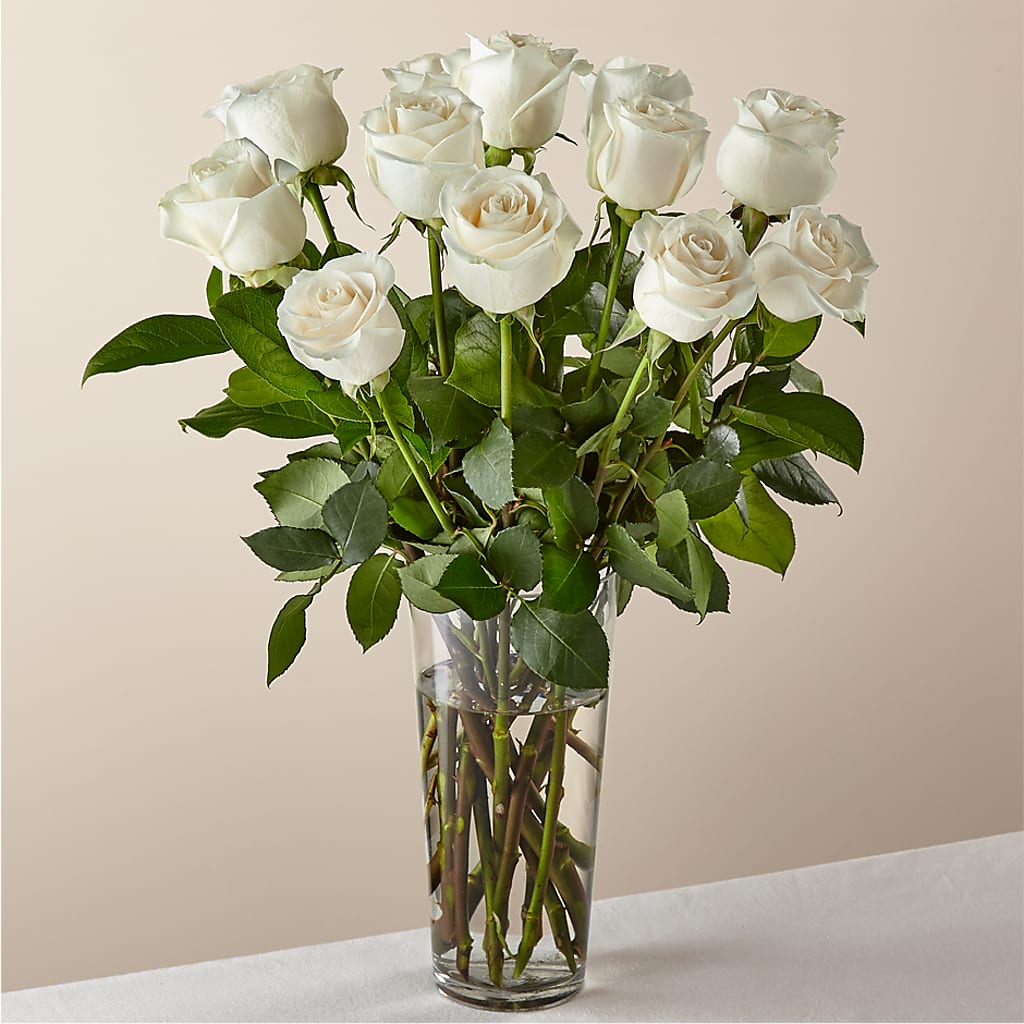 Long Stem White Rose Bouquet – CARLSON & CO, Springfield GA