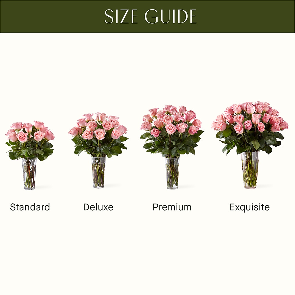 Long Stem Pink Rose Bouquet – CARLSON & CO, Springfield GA