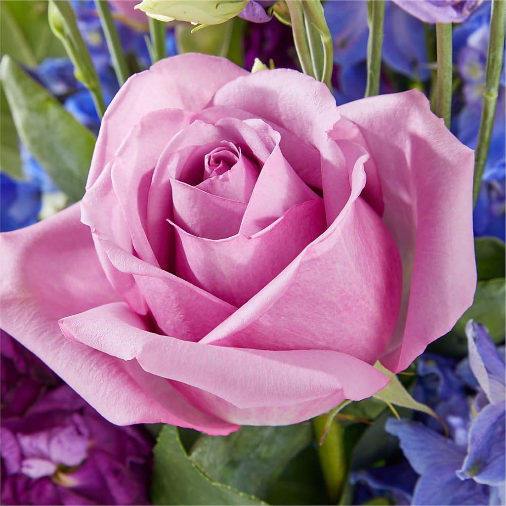Twilight Glow Bouquet – CARLSON & CO, Springfield GA