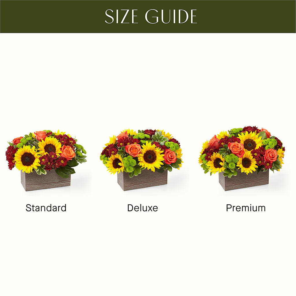 Happy Harvest Garden – CARLSON & CO, Springfield GA