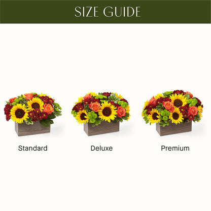Happy Harvest Garden – CARLSON & CO, Springfield GA