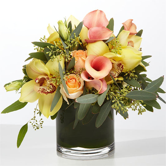 The Visionary – CARLSON & CO, Springfield GA