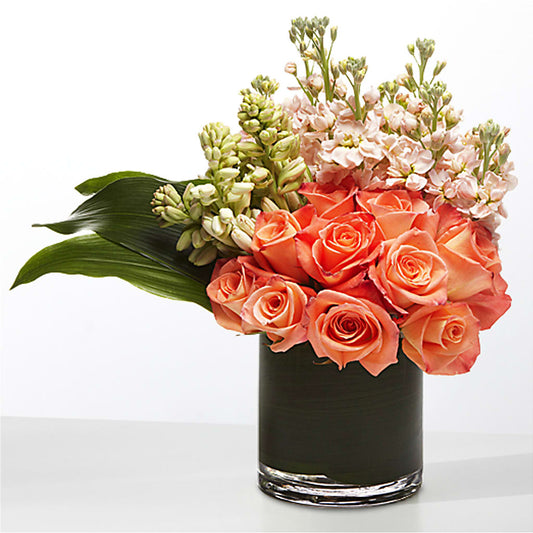 The Moment – CARLSON & CO, Springfield GA