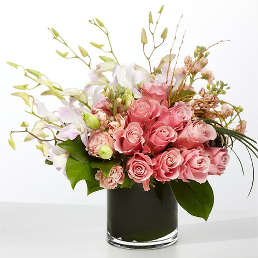 The Muse – CARLSON & CO, Springfield GA