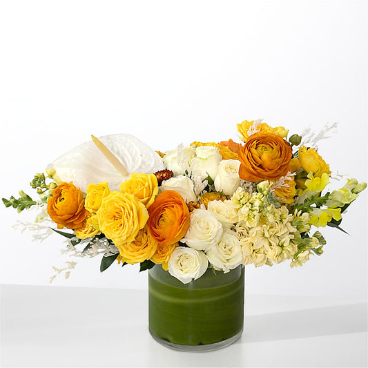 The Optimist – CARLSON & CO, Springfield GA