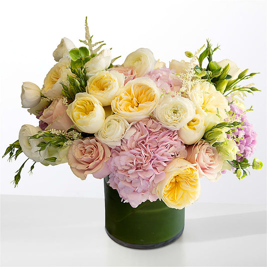 The Melody – CARLSON & CO, Springfield GA