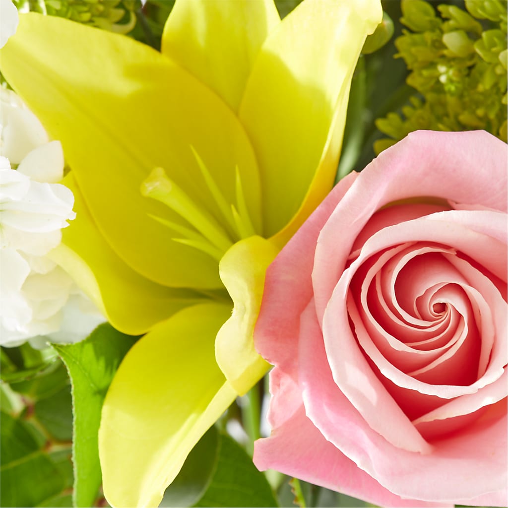 Garden Delight Bouquet – CARLSON & CO, Springfield GA