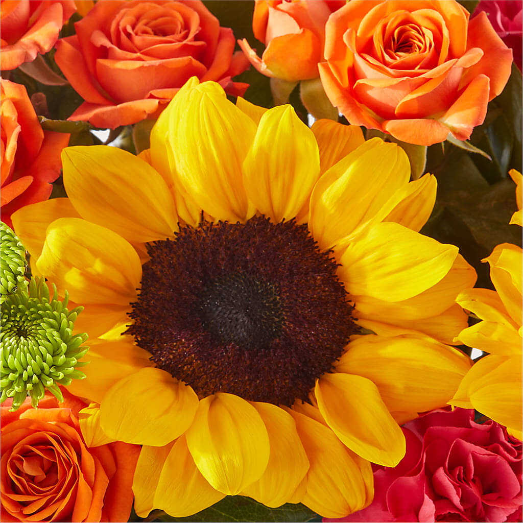 Sun-drenched Blooms Box Bouquet – CARLSON & CO, Springfield GA