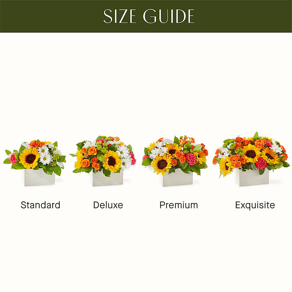 Sun-drenched Blooms Box Bouquet – CARLSON & CO, Springfield GA
