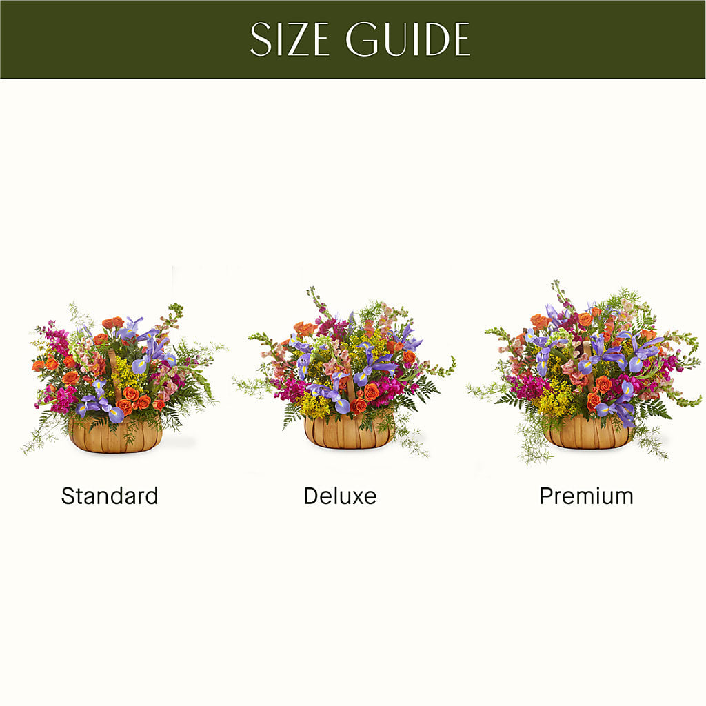 Garden of Life Basket – CARLSON & CO, Springfield GA