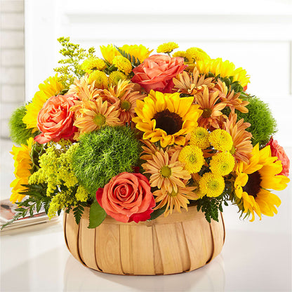 Harvest Sunflower Basket – CARLSON & CO, Springfield GA