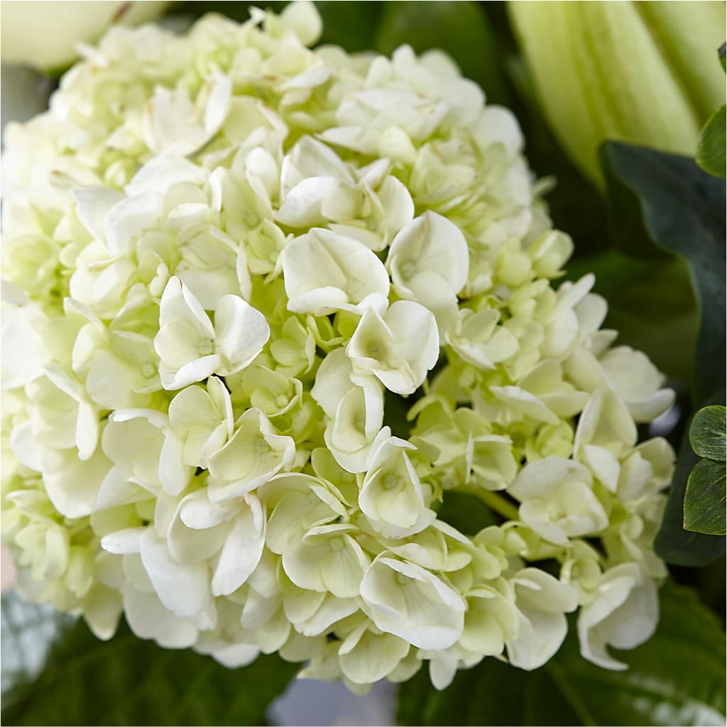 Classic Ivory – A Florist Original – CARLSON & CO, Springfield GA