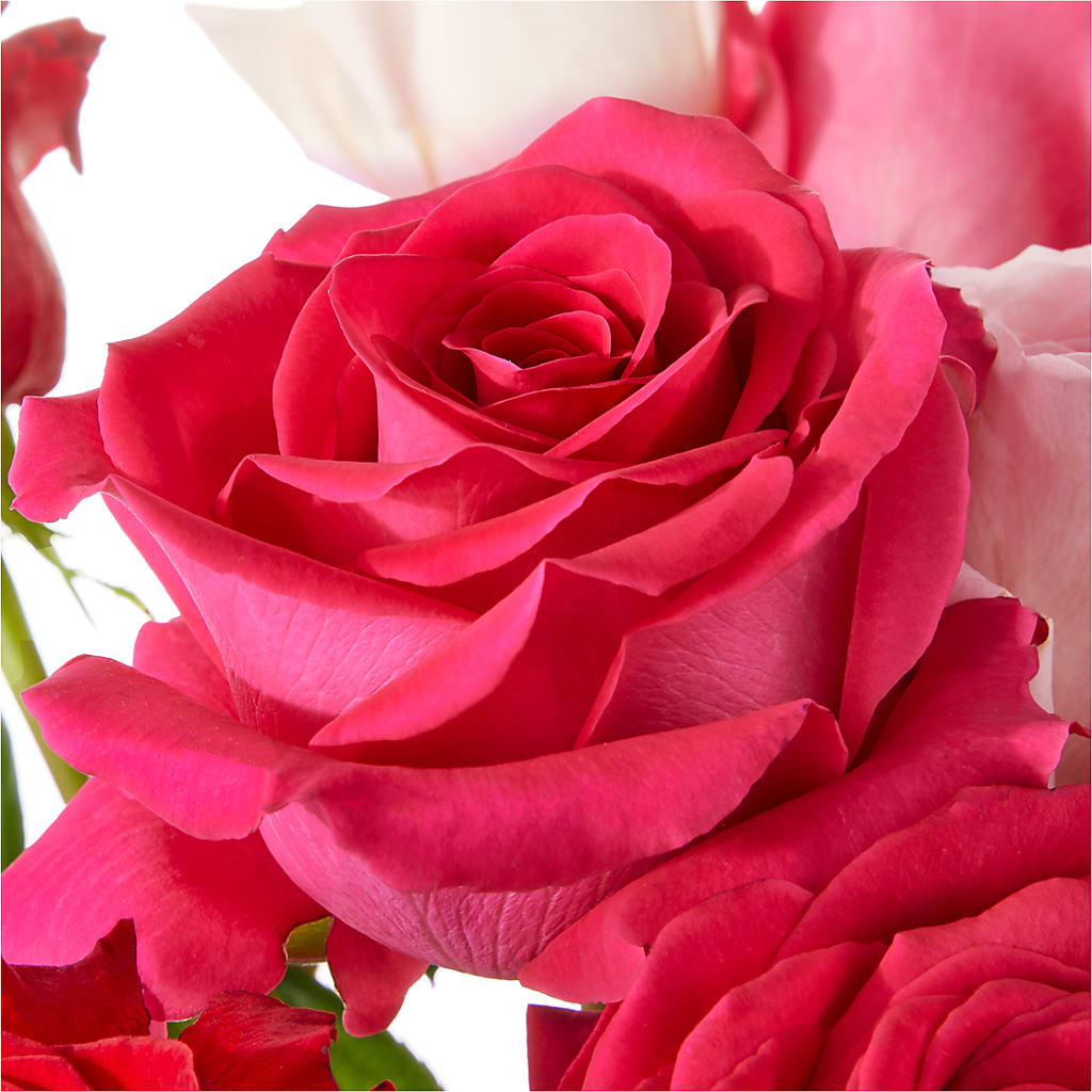 Love Notes Rose Bouquet – CARLSON & CO, Springfield GA