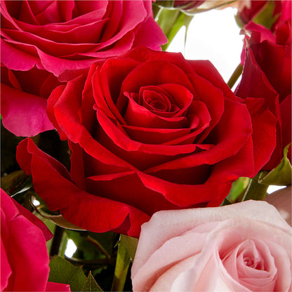 Love Notes Rose Bouquet – CARLSON & CO, Springfield GA