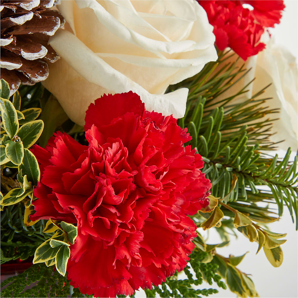 Christmas Market Bouquet – CARLSON & CO, Springfield GA