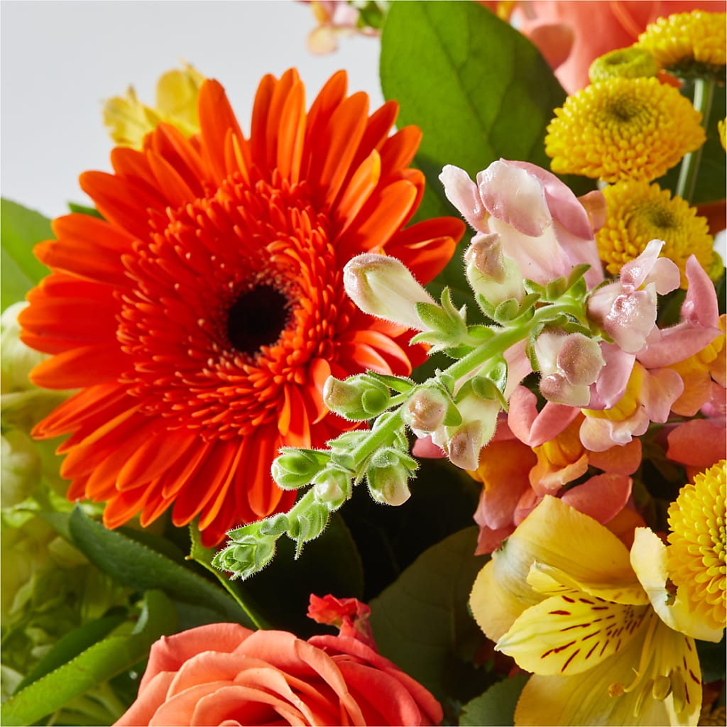 Autumn Sunshine Bouquet – CARLSON & CO, Springfield GA