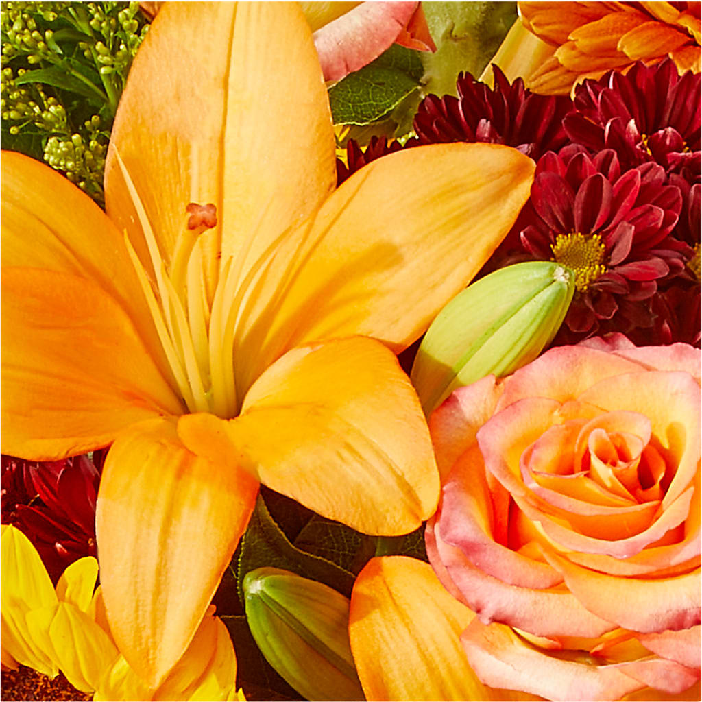 Seasons Change Bouquet – CARLSON & CO, Springfield GA