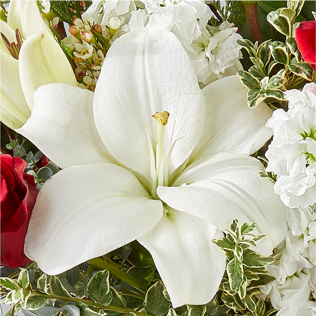 Twinkle Lights Bouquet – CARLSON & CO, Springfield GA